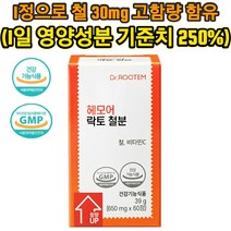 닥터루템 헤모어 락토 철분 임산부 영양제 비동물성 비헴철 철분 사용 1정에 1일 영양성분 기준치 250%함유, 1개(2개월분)