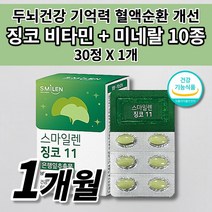 뇌 두뇌 세포 건강 기억력 기능 감퇴 저하 노화 예방 혈액순환 혈행 개선 혈관 질환 에좋은 음식 건강기능식품 식약처 인증 은행잎추출물 10종 비타민 미네랄 아연 징코 영양제 30정, 1개
