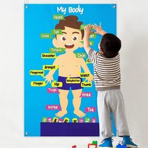 몬테소리 유아 블록 교육 DIY 펠트 보드 장난감 이야기 농장 동물 만화 패턴 벽 장식 아기 조기 학습 완구, [04] human body