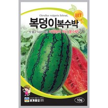 복덩이 복수박 씨앗 10립 [23년포장]