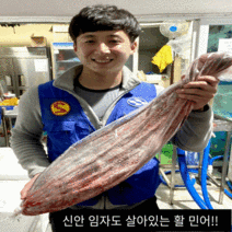 신안 임자도 민어회 (1접시~8kg), 4kg, 분리(오로시)