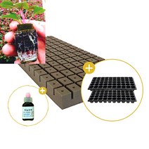 삽목용 오아시스104구+50구트레이 2장+발근력20ml+이름표사은품, 3셋트