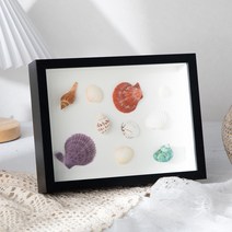 캘리그라피 플라워 액자 팝아트 3D 입체 관액자 DIY 투명 공간액자 8x10, 커피 3cm