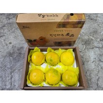 황금향 3kg 가정용 15개내외 제주황금향, 상세페이지 참조, 상세페이지 참조, 상세페이지 참조