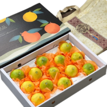 [산지직송] 제주 황금향 귤 가정용 선물용, 선물용 3kg (대)