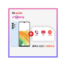 삼성전자 갤럭시 A33 128GB 5G 알뜰폰 SM-A336N 공기계 알뜰유심 삼성정품, 어썸 화이트