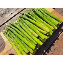 냉동 아스파라거스 1kg