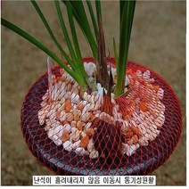 화분안전망 수태안전망 주황색 길이-7m