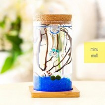 테라리움_마리모_키우기_LED_유리병_코르크병 1EFD, 상세페이지 참조