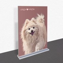 모노치 반려동물 초상화 강아지 고양이 그림 탁상용 아크릴액자 반려견 반려묘 선물, A5 (148x210mm), 01. 일자형 일반