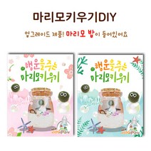 아이토빅 행운을 주는 마리모키우기, 1개