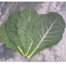 유기농 케일 즙용케일 친환경 신선초 1kg, 2kg