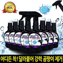 블랙스파이더 곰팡이젤 10종세트 두꺼비 화장실 실리콘 욕실 벽 곰팡이제거제 청소 스프레이