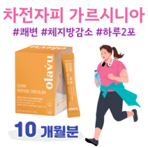 오라뷰 차전자피 가르시니아 차전자피 식이섬유 다이어트 쾌변 체지방 감소 도움 콜레스테롤 개선 배변활동 도움 먹는 다이어트 뱃속비움 30대 직장인 회사원 남성 여성 다이어트, 10달치, 5500mg x 60포 (하루2포)