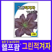헬프팜 그린적겨자 2000립 씨앗 종자 그린하트바이오