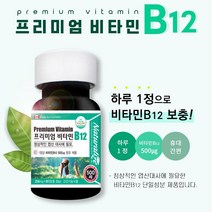 비타민 b12 엽산대사 단일성분 캐나다 직수입 비건 채식주의, 기본 3개월분