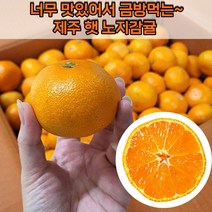 [23년 햇수확 제주산지직송] 제주 햇 노지감귤 귤5kg 하우스감귤 제주감귤 제주도귤 밀감 제주귤 새콤달콤 (후공정처리 안한 수확한그대로 배송), 1개, 5kg, 중대과