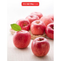 제수용 선물용 국산 사과 부사 상 대과10kg 신선한