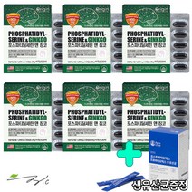 앤 징코 직수입 완제품 포스파티딜세린 노화로인해 저하된 인지력 개선 포스파티세린 은행잎추출물 비타민E 포스파티딜세린 섭취 건강기능식품 1200mgX60캡슐 72g 미국산OEM 히드