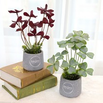 [(주)조아트] 인조나무 인테리어 장식 조화 화분 사랑초 2p set, 색상:버건디