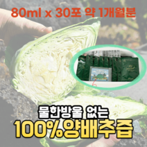 HACCP 해썹 인증 위에 좋은 즙 차 음식 제주 저온착즙 양배추즙 100% 100프로 양배추 진액 농축액 30포 약1개월분, 30포(약1개월분)