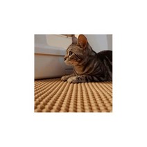 고양이 화장실 모래 사막화방지 발판 엠보싱매트 5color (S M L), 버건디