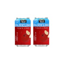 코카콜라 미닛메이드 스파클링 사과 345ml, 24캔