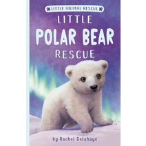 Little Polar Bear Rescue Paperback, Tiger Tales, English, 9781680104981
