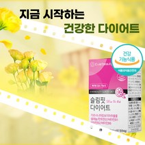 식약처 인증 체지방 감소 다이어트 보조제 가르시니아 60정 급찐살 복부 피하 뱃살 제지방 감소 HCA 탄수화물 컷팅제 플러스 비타민 알약케이스 증정, (2개월분) 60정 x 2박스