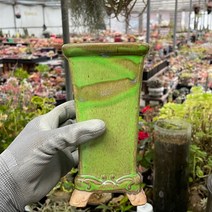 예운분 : 정사각 롱분 8가지 색상, 4.연두/녹색