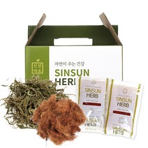 신선약초 옥수수수염차전초즙 110mlx30포