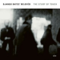 핫트랙스 DJANGO BATES BELOVED - THE STUDY OF TOUCH