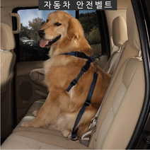 잔량덤핑 훈련 차량 애완견 자동차 강아지 안전벨트, 블랙
