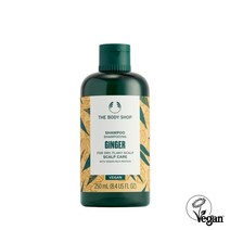 더바디샵 진저 스캘프 케어 샴푸 250ML 98122