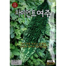 (씨앗) 자이언트여주 - 일본 수입종 큰 여주 씨앗 종자 - 소포장 10립