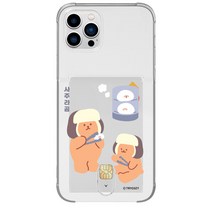 갤럭시노트10플러스 케이스 또아네 겨울동물 에어쿠션 투명 카드 젤리