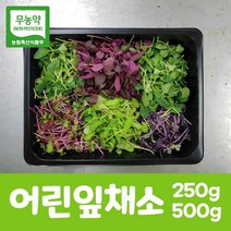 무농약 새싹채소 어린잎채소 모듬새싹 250g 500g 베이비채소 당일수확 산지직송, 01. 어린잎채소 250g