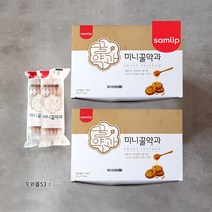 삼립 미니꿀약과 700g 2곽 70g 20개봉입 간식한입, 700g x 2곽
