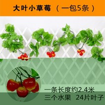 복도 장식 그린 등나무 페이크 덩쿨 라탄 심플 비닐 플라워 컬러 펀텐트 전시장 녹색 식물 트로피칼 2622582227, G56 대엽 조롱박 1가방