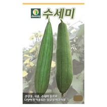 다농 수세미씨앗 200립 식용 약용 관상용 덩굴성 박과식물, 1개