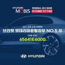 현대모비스 브라켓 밧데리마운팅하부 NO.5 우 (65641E6000), 1개