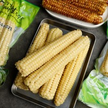 괴산 대학 찰옥수수 찐옥수수 냉동 옥수수 15개, 단품