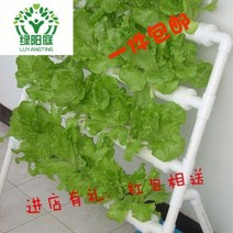 수경재배기 식물재배기 가정용수경재배기 실내 식물 재배 Lvyangting의 사다리 형 무토양 장비 수경 발코니 야채 심기 기계, 스마트 업그레이드, 중간