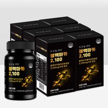 오늘부터 블랙마카2100 흑마늘 야관문 흑삼, 6개, 120정