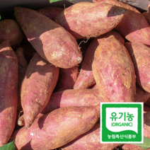 포슬포슬 김제 유기농 소정이네 햇 밤고구마 5kg