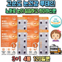 노인 고시생 눈이따가워요 눈의피로 안구건강 루테인 눈시력 눈실핏줄터짐 눈피로감 메리골드 토마토 포도씨유 마이봄샘 EPA DHA 황반주름 식물성 금송화 건조 효모 금잔화 황반 만수국