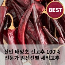 진안 태양초 고추 100% 깨끗한 최상급 건고추 마른고추 1근 600g 세척완료 세척고추 전문가엄선선별, 꼭지 달린 고추 600g, 1개