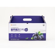 대웅생명과학 블루베리진액 80ml 21팩, 1개