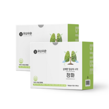 유비무환 정화 기관지 폐 목 좋은 음식 도라지 금은화 환, 75g, 2개