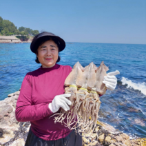 오징어엄마 국내산 마른 오징어 건오징어 건조오징어, 750g(대, 10미), 1개